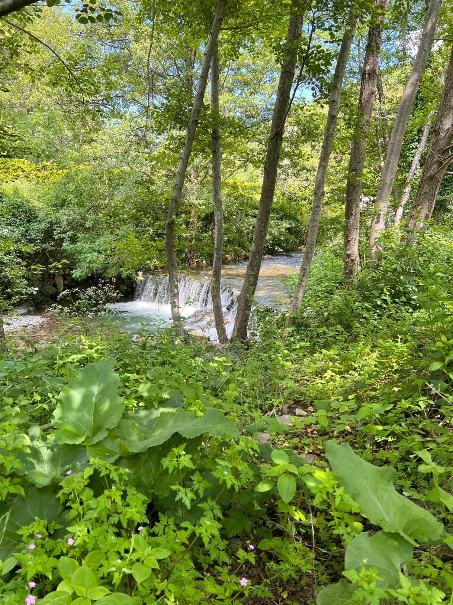 Tente Lodge En Pleine Nature 叙梅恩 外观 照片