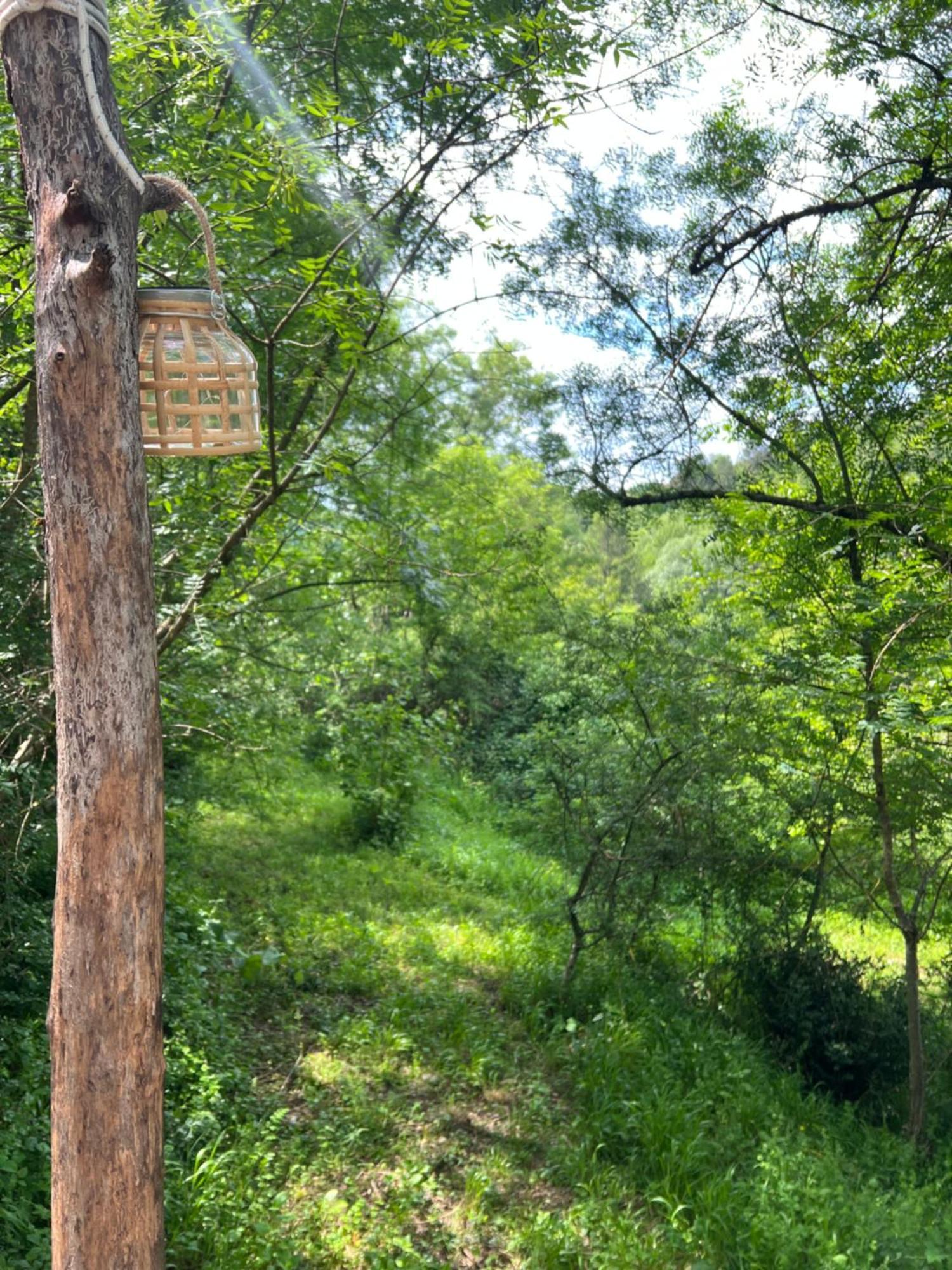 Tente Lodge En Pleine Nature 叙梅恩 外观 照片